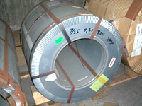 Pre-Painted/Color Coated(PPGI)
