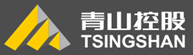 青山控股集団有限公司